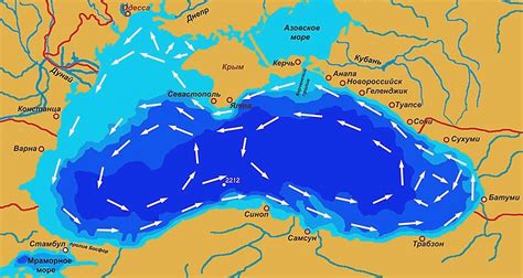 индикаторы чистоты морской воды в черном море